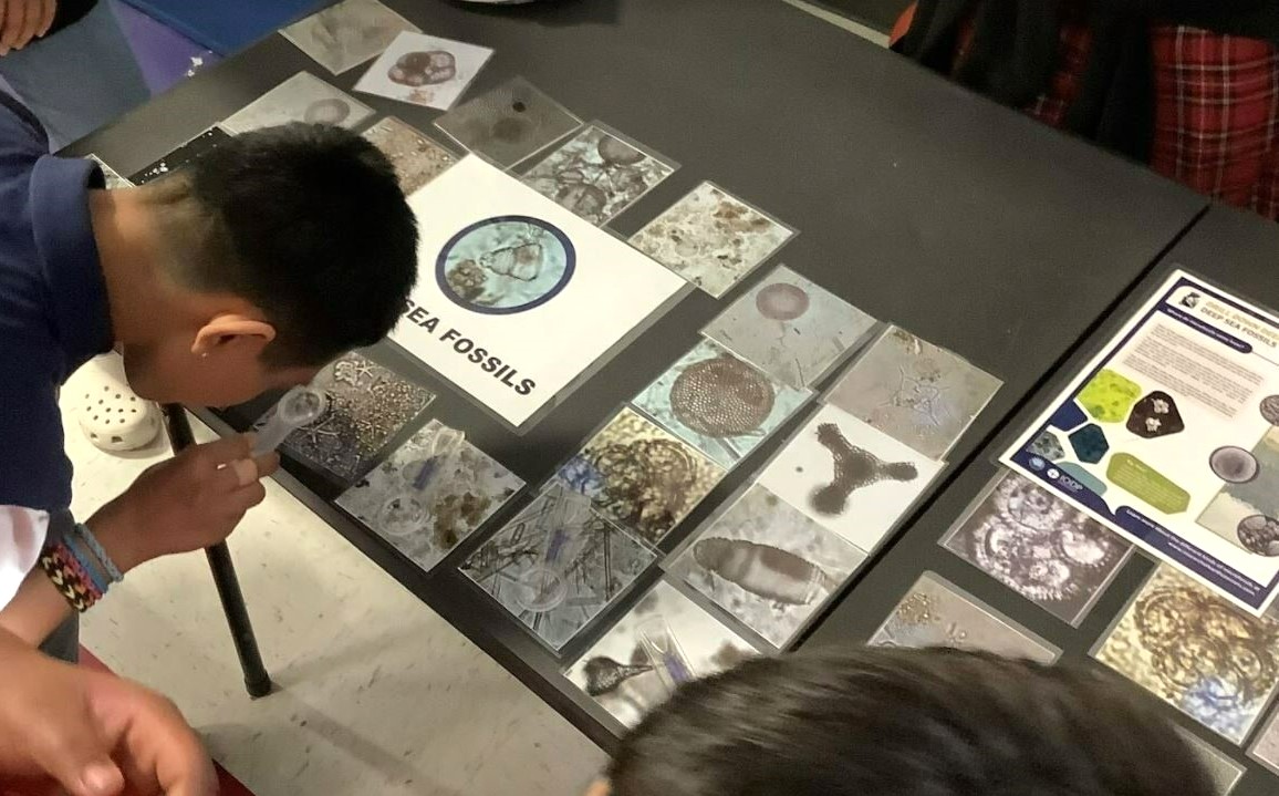 Microfossil identification