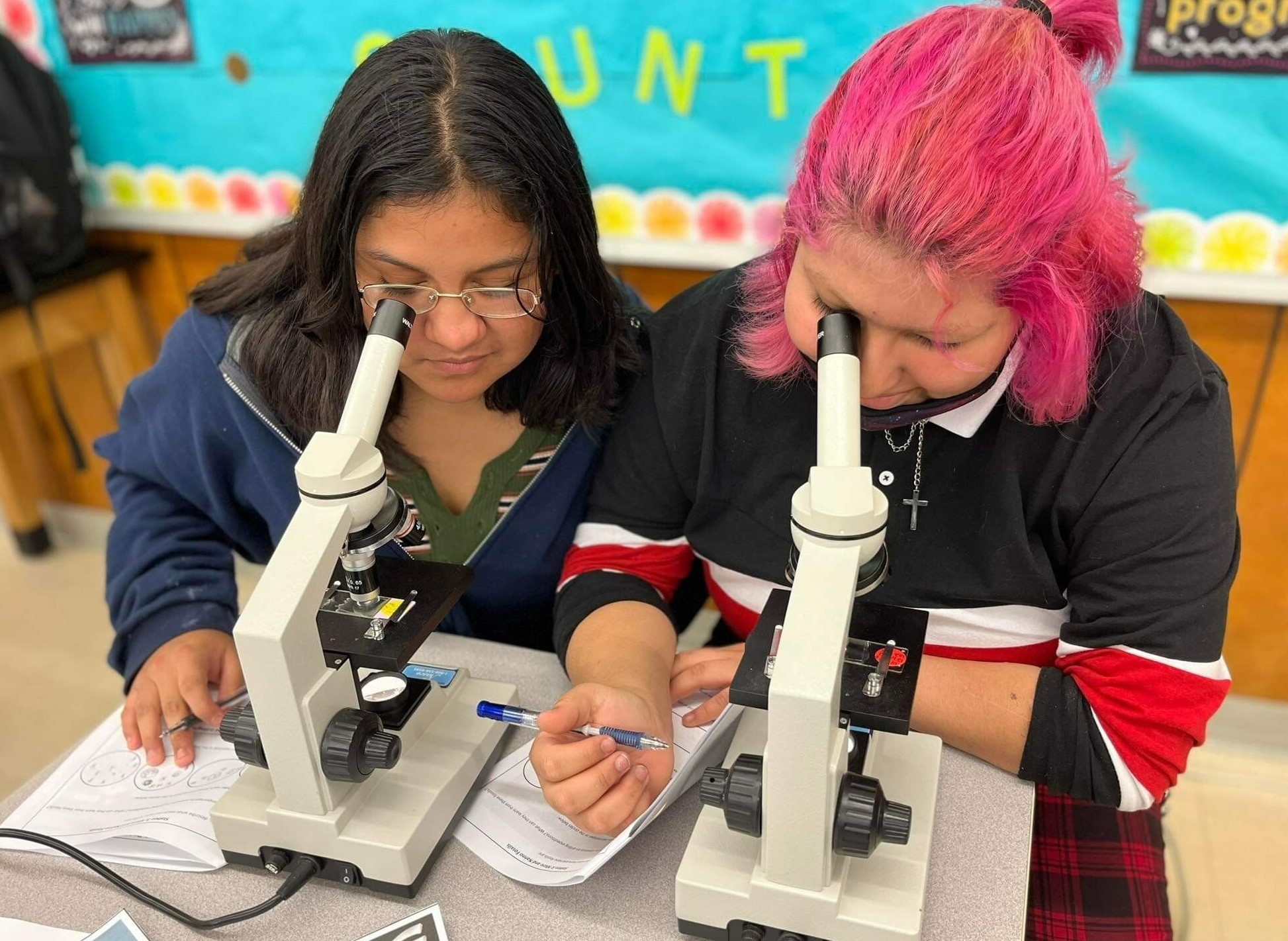 Microfossil microscope training