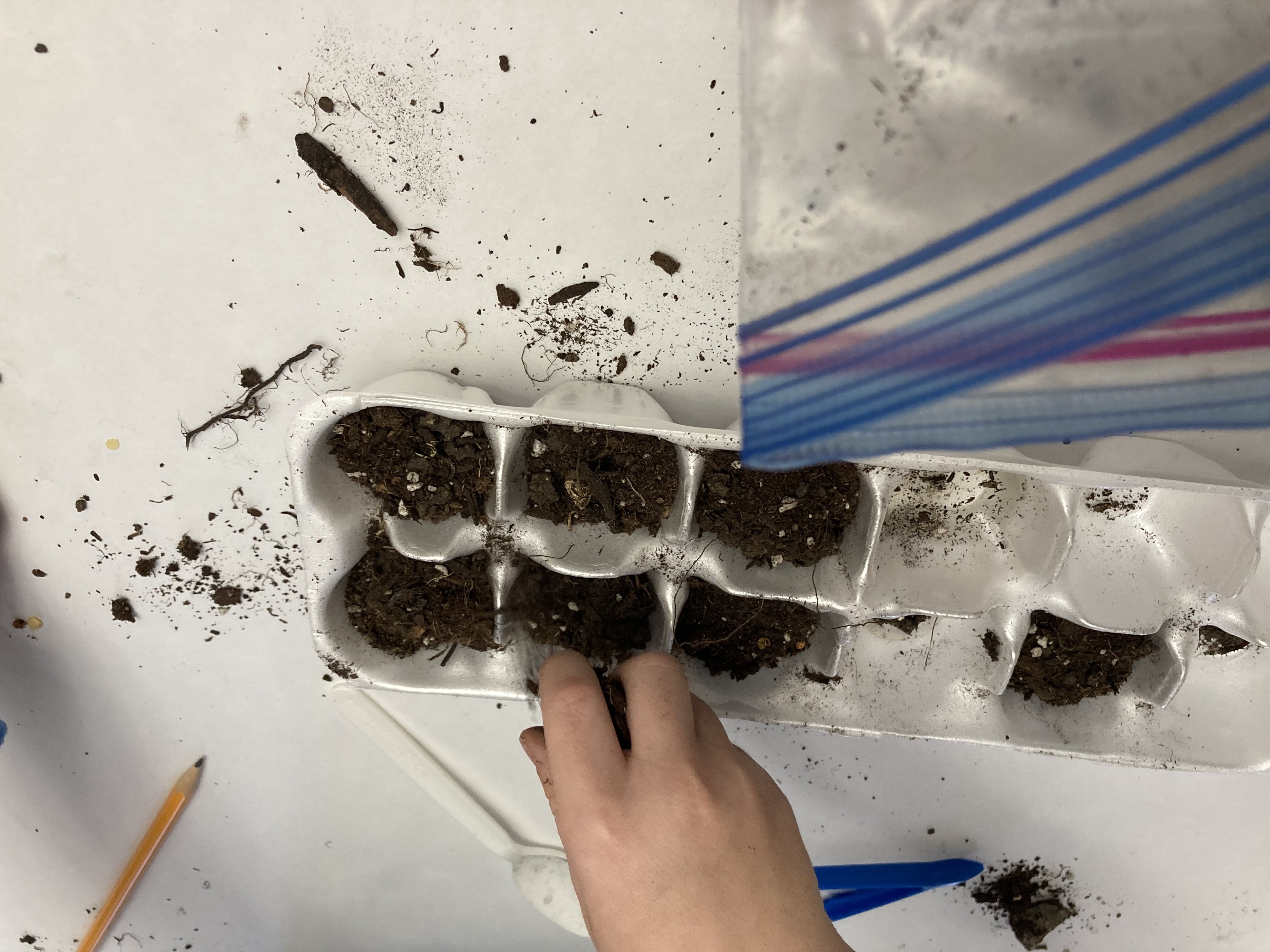 Growing Students' Meaning-Making