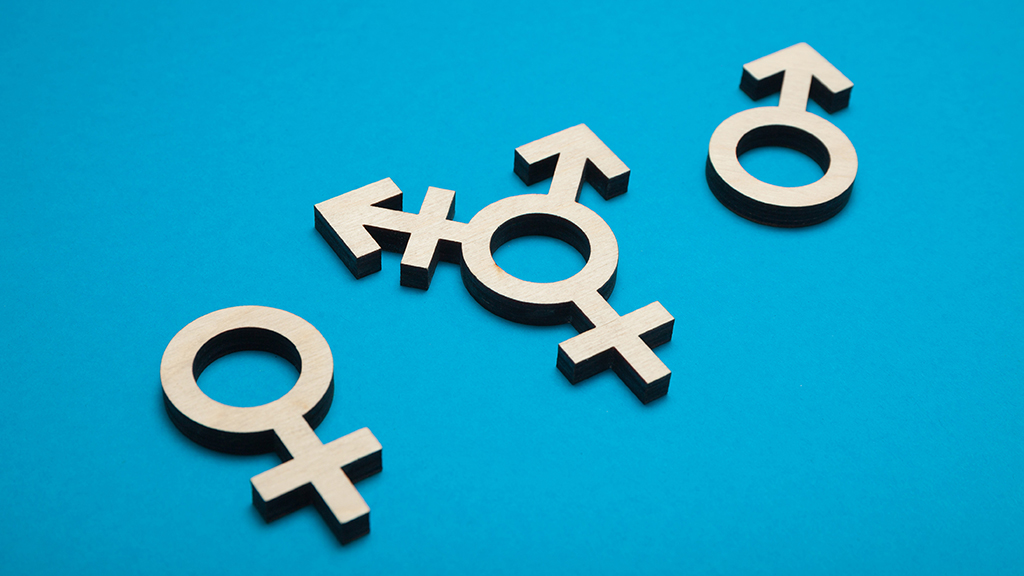 Dana Zzyym and Intersex