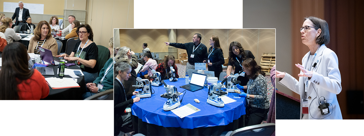 attendees
