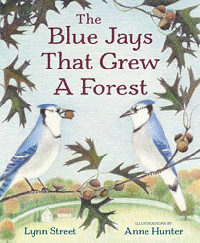 The Blue Jays that Grew a Forest