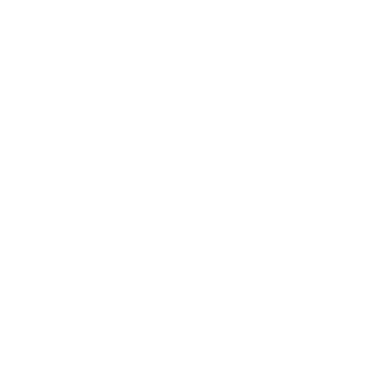 Partner Icon