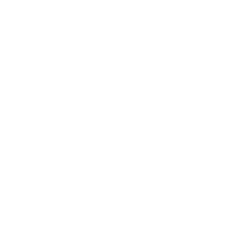 pricing icon