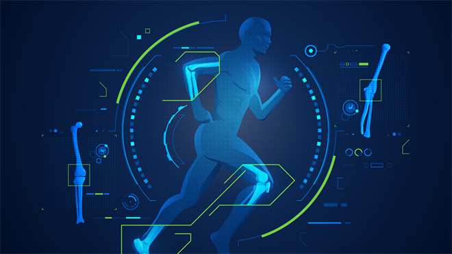 interface showing muscles and bones in body during exercise