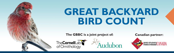 Great Backyard Bird Count poster