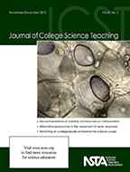 CoverJCSTNovember2013