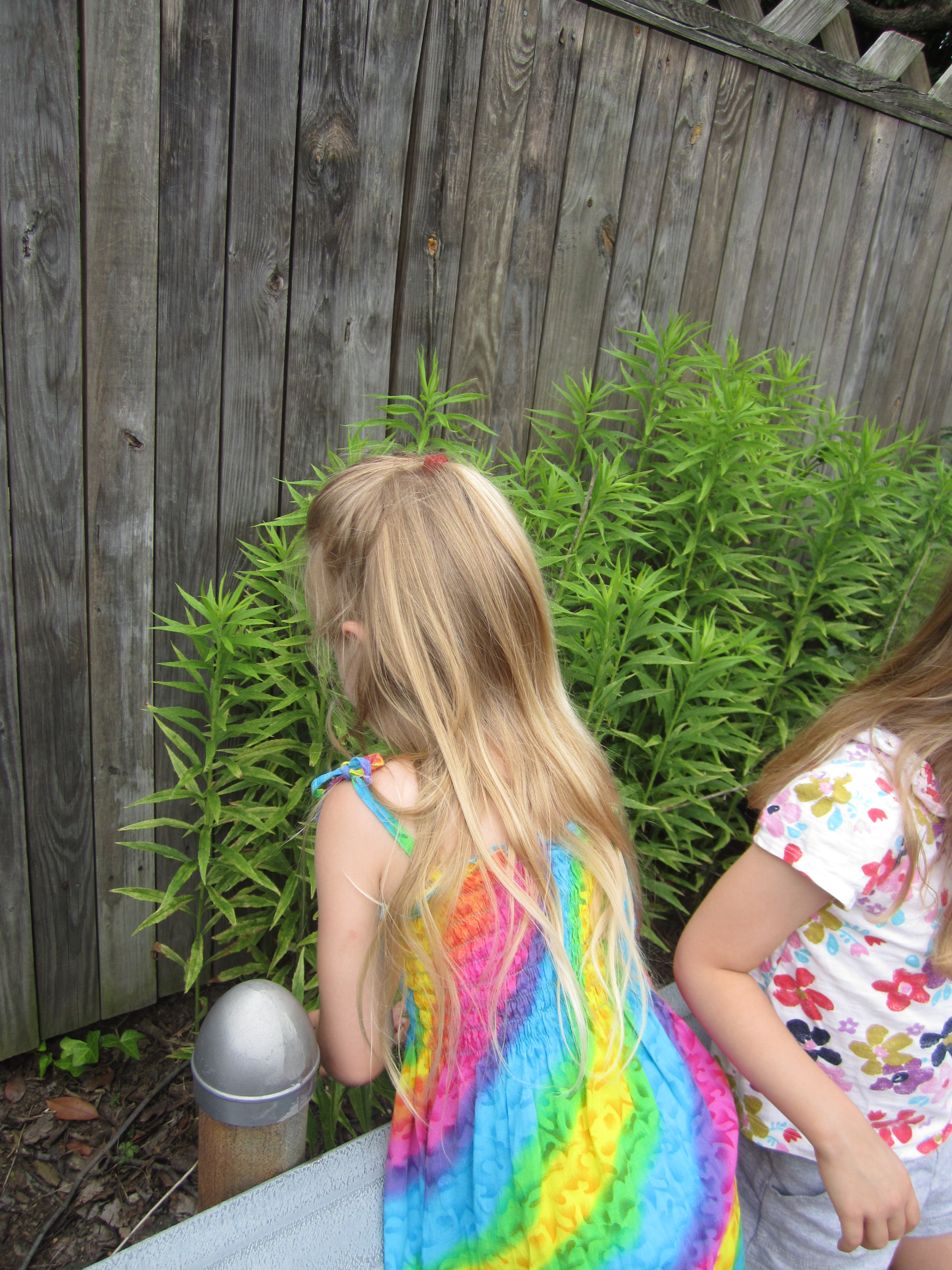 Child picking leaves for play "food".