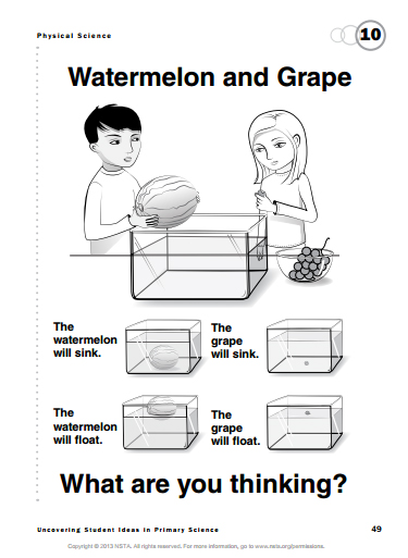 A formative assessment probe.
