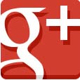 G+ icon