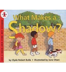 Cover of book: What Makes a Shadow?