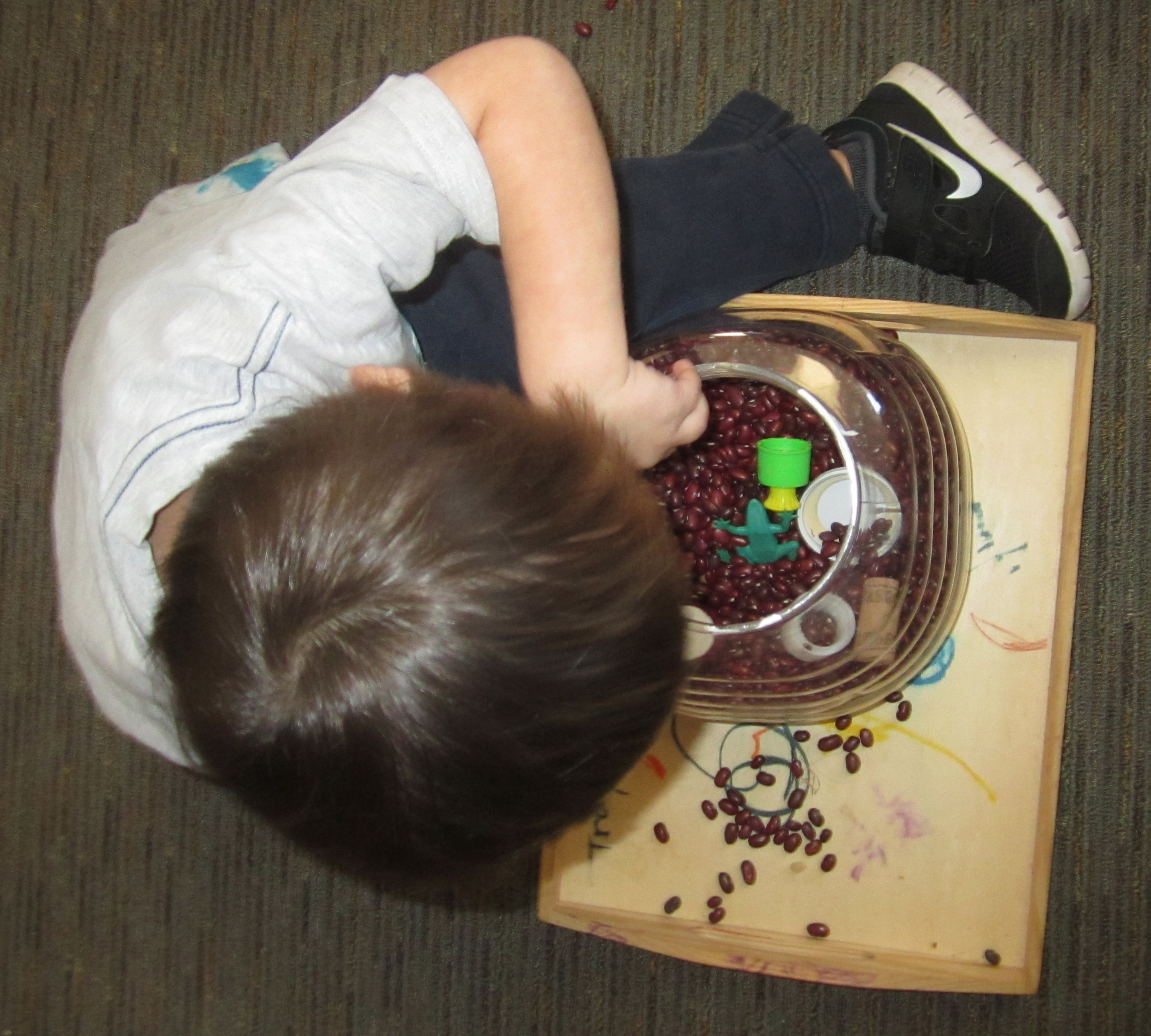 Child feeling for objects in a container of beans.