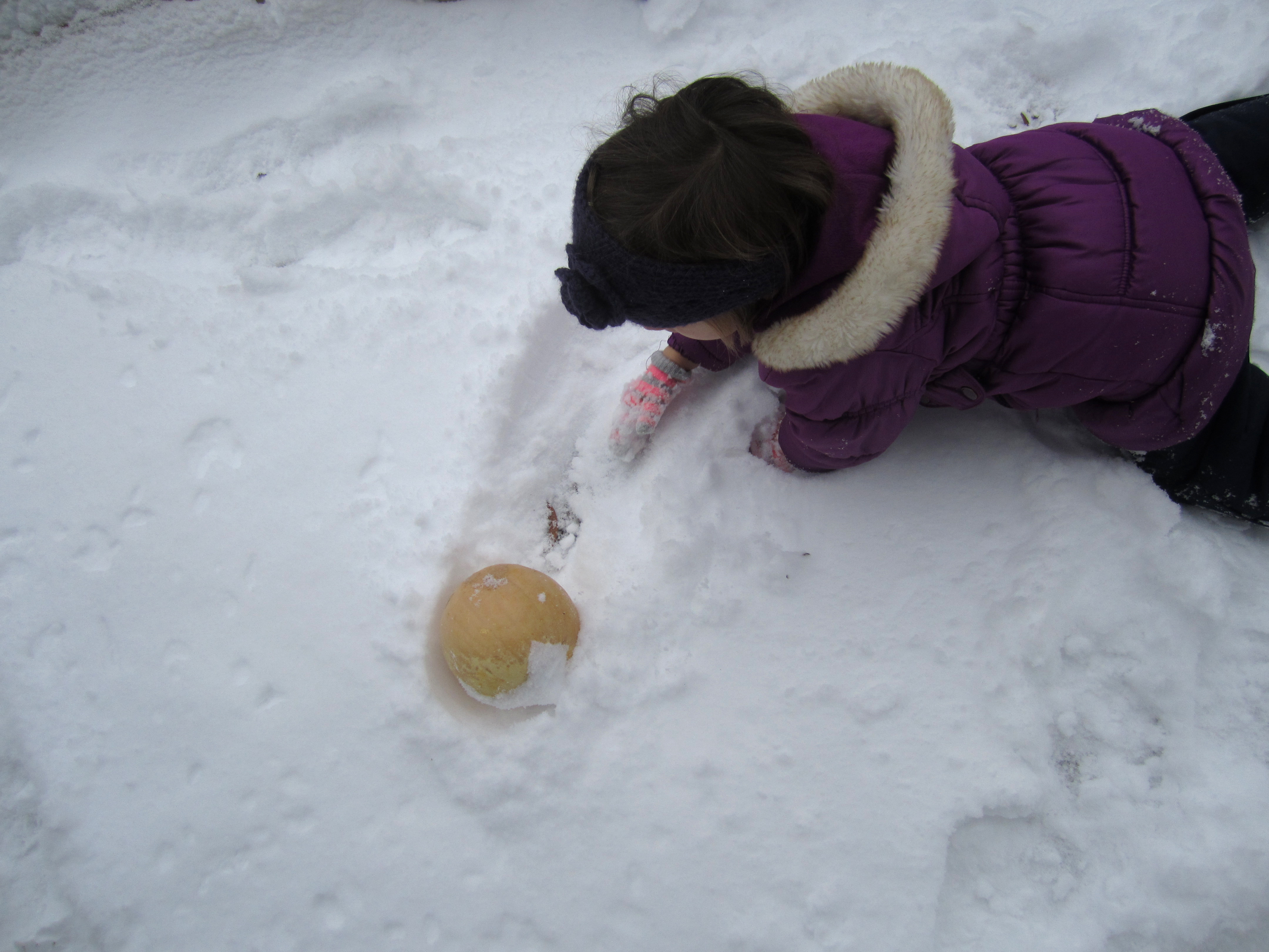 Child pushing a pumpkin through snow.