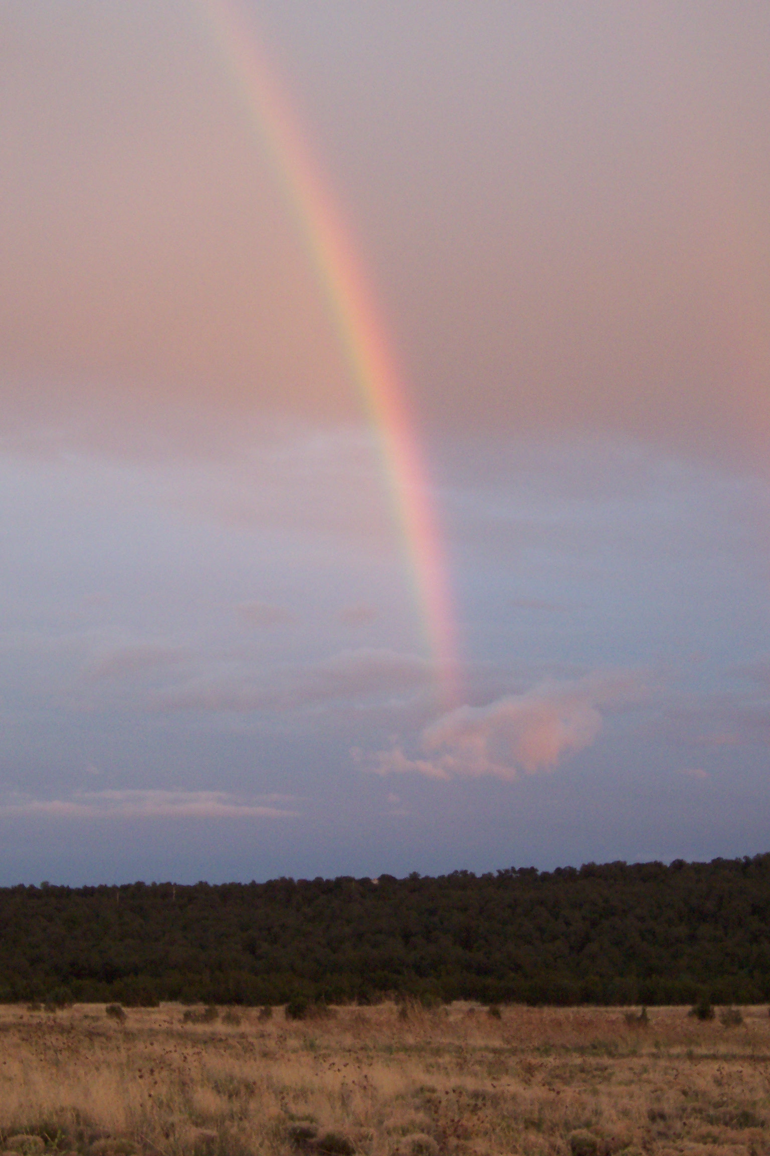 Rainbow over open grassland in New Mexico