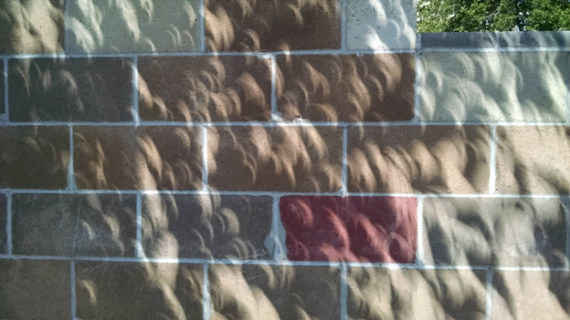 Images of solar eclipse projected onto wall