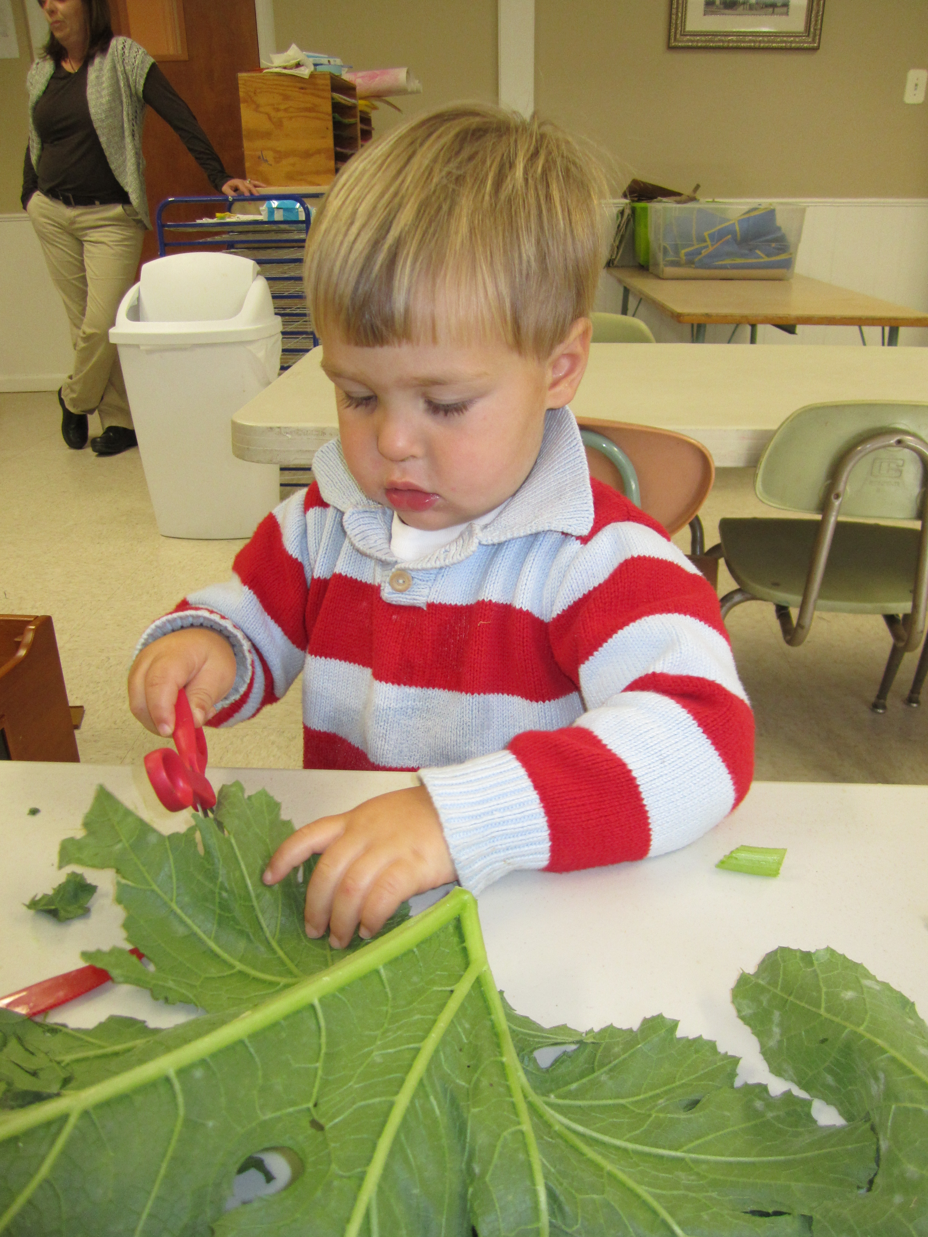 Child cuts a leaf with scissors.