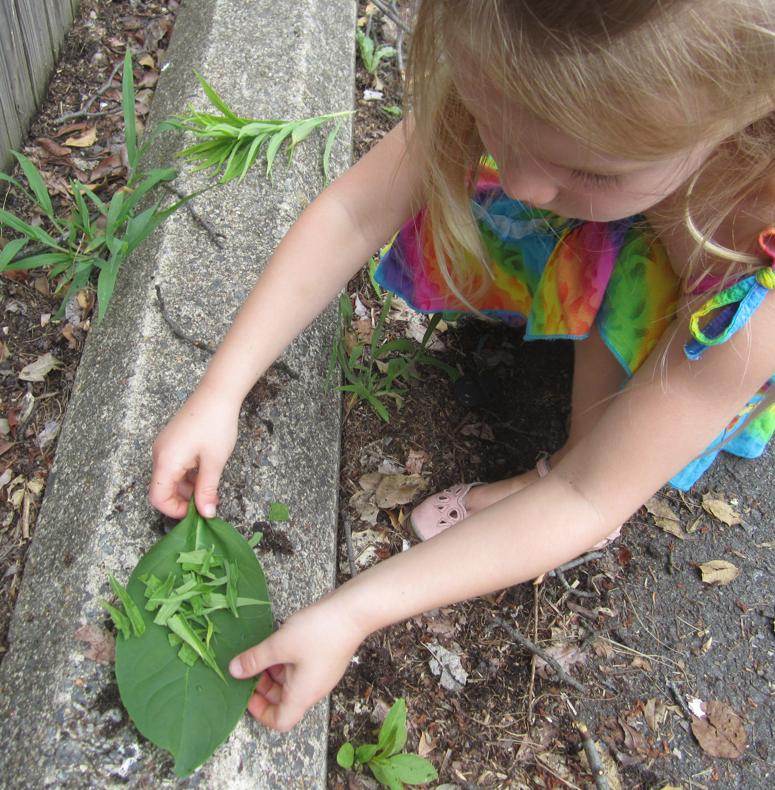 Child making a pretend plate of food using leaves.