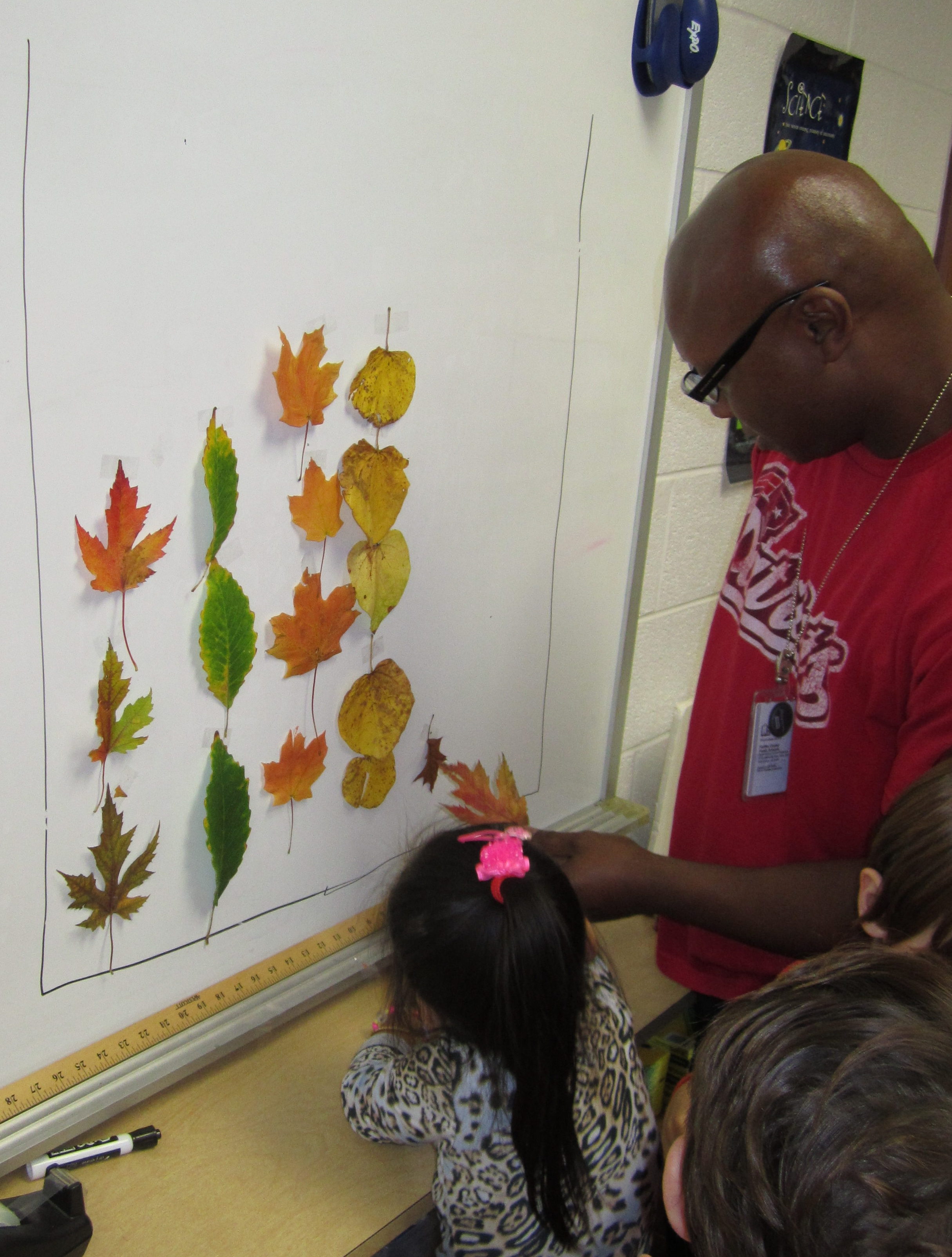 Child and teacher graphing leaves by shape