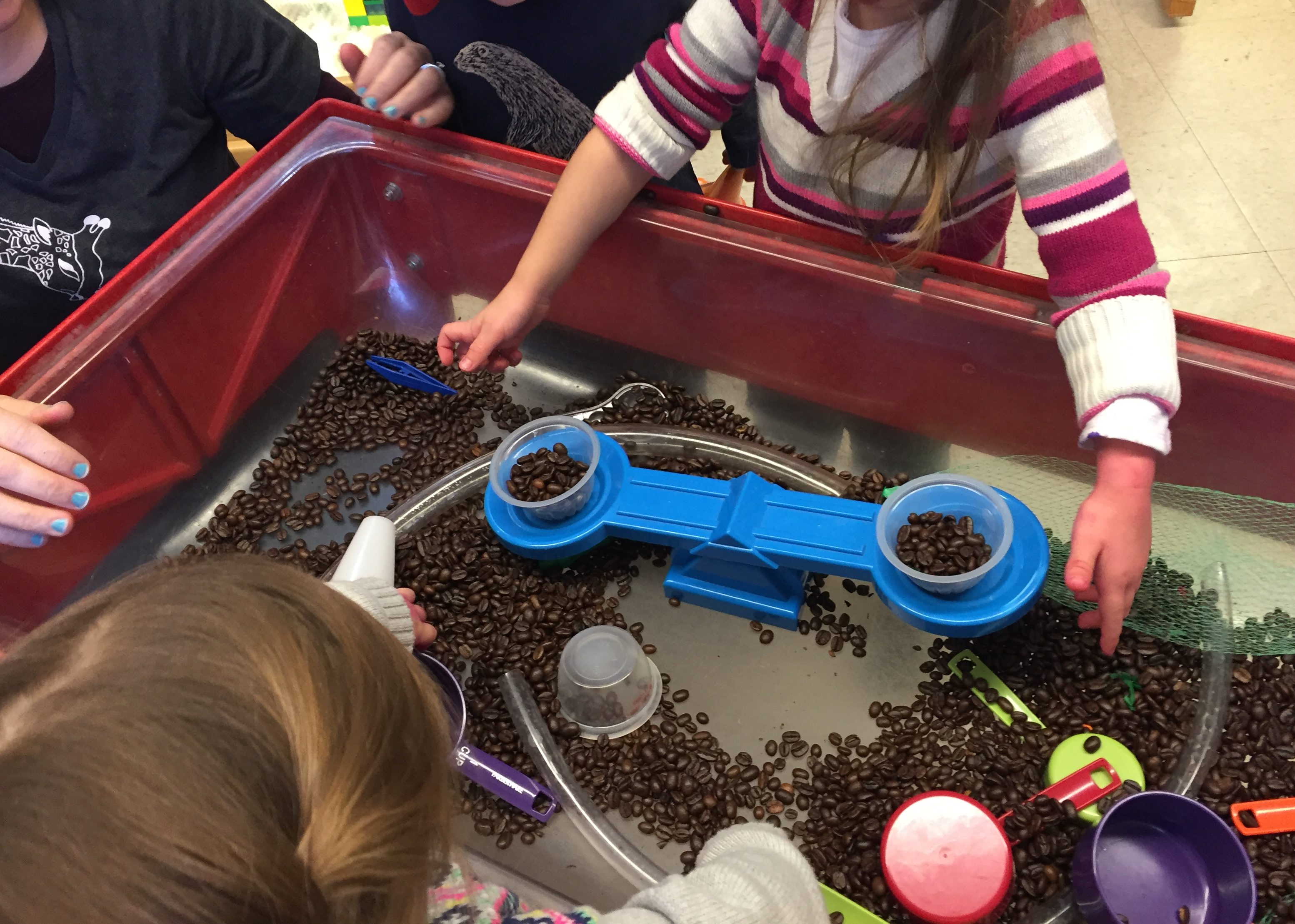 Preschool children using a balance in a sensory table with coffee beans.