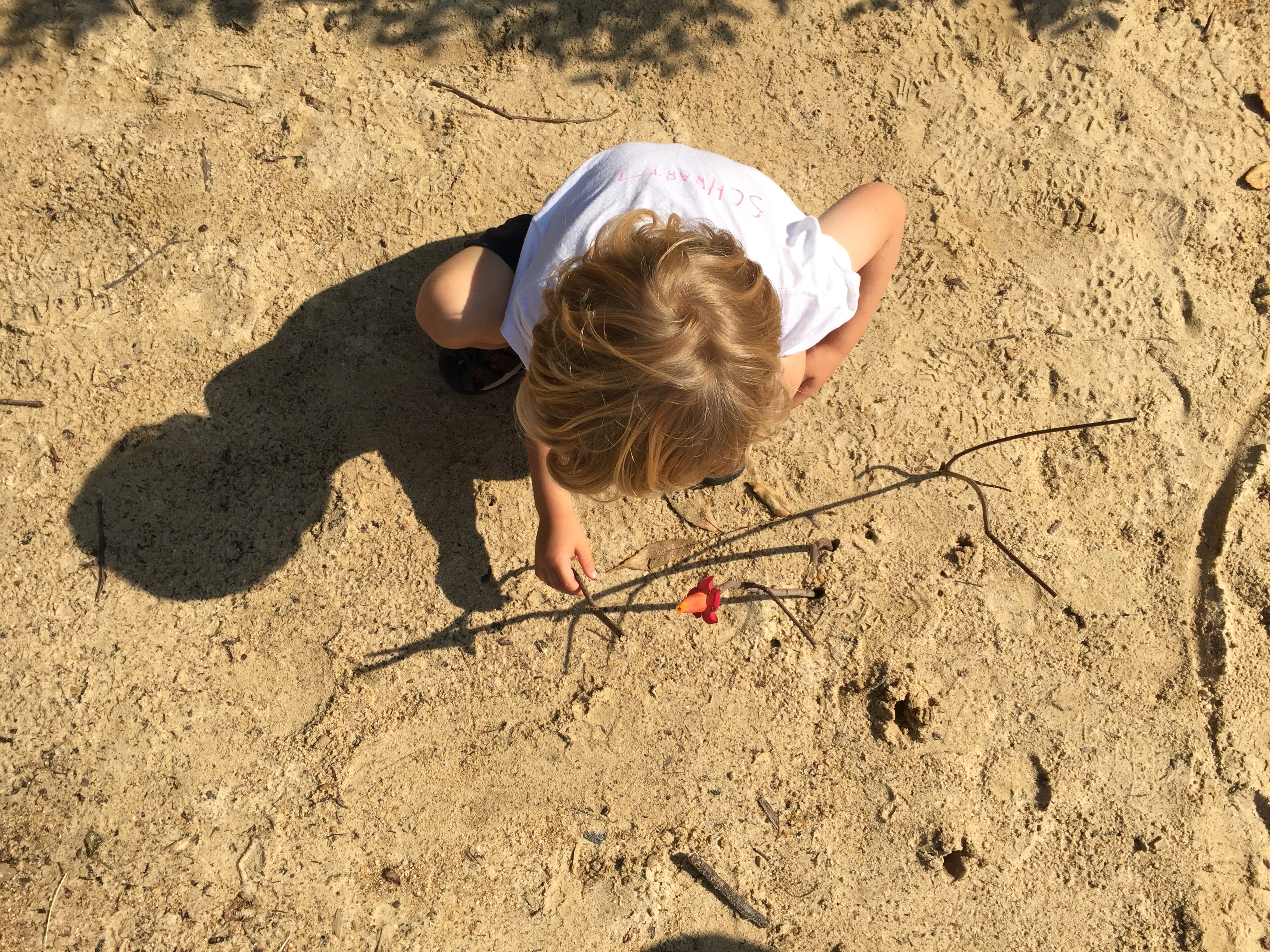 Children making shadow art by arranging sticks stuck into sand to create shadow patterns.