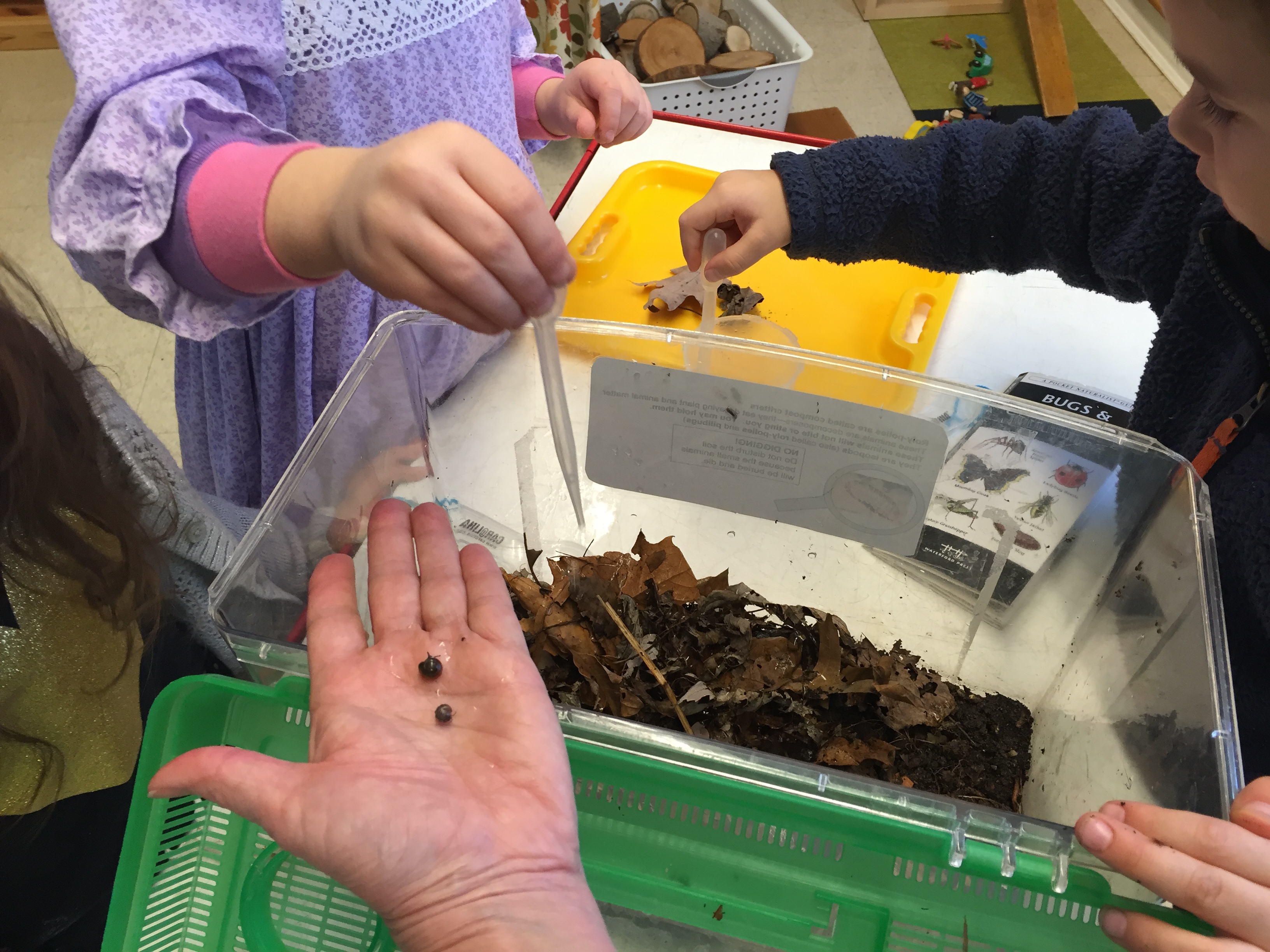 Adult holds isopod on hand while children drop water into container habitat.