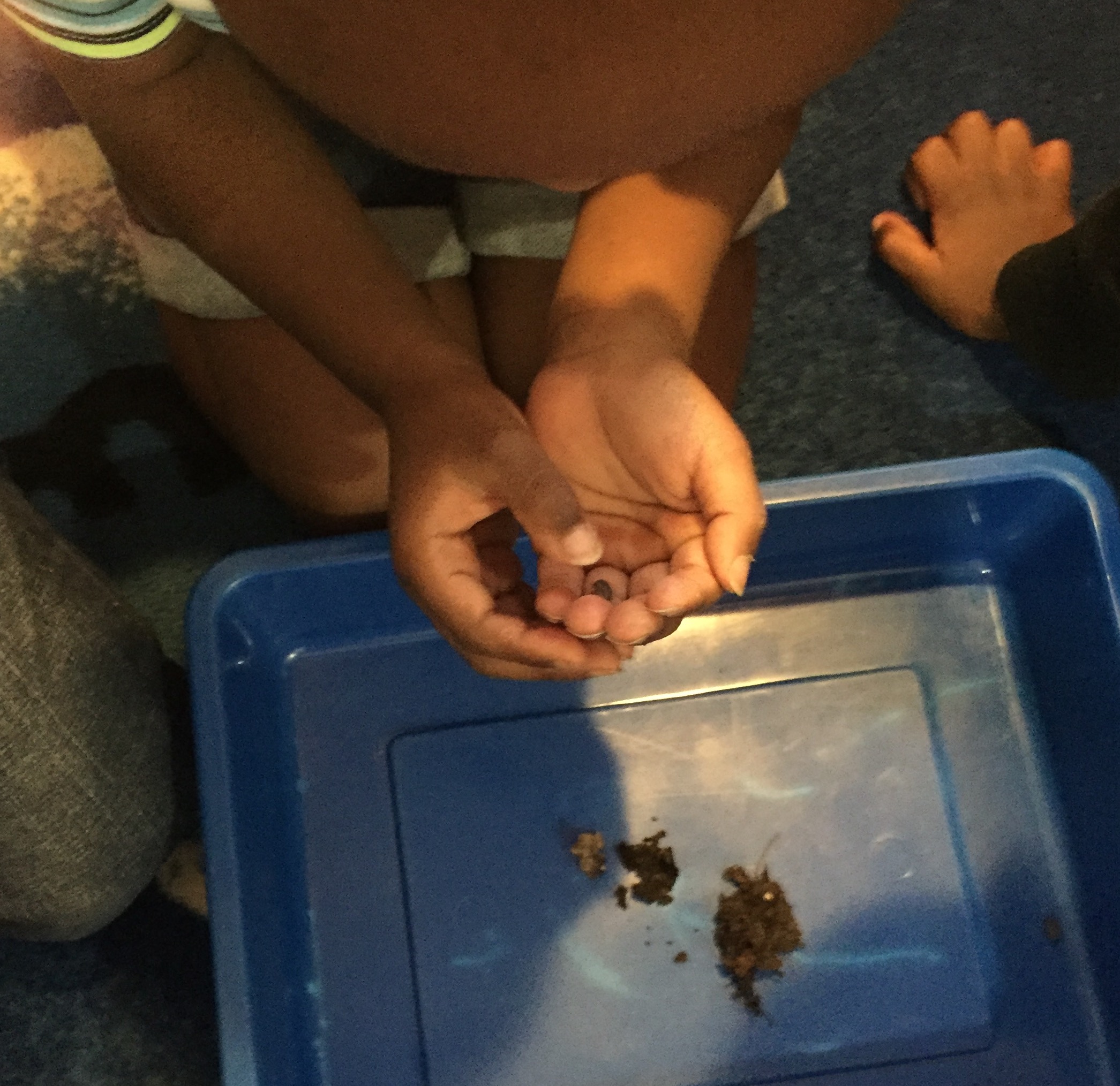 Child holds isopod in hands while others look on.