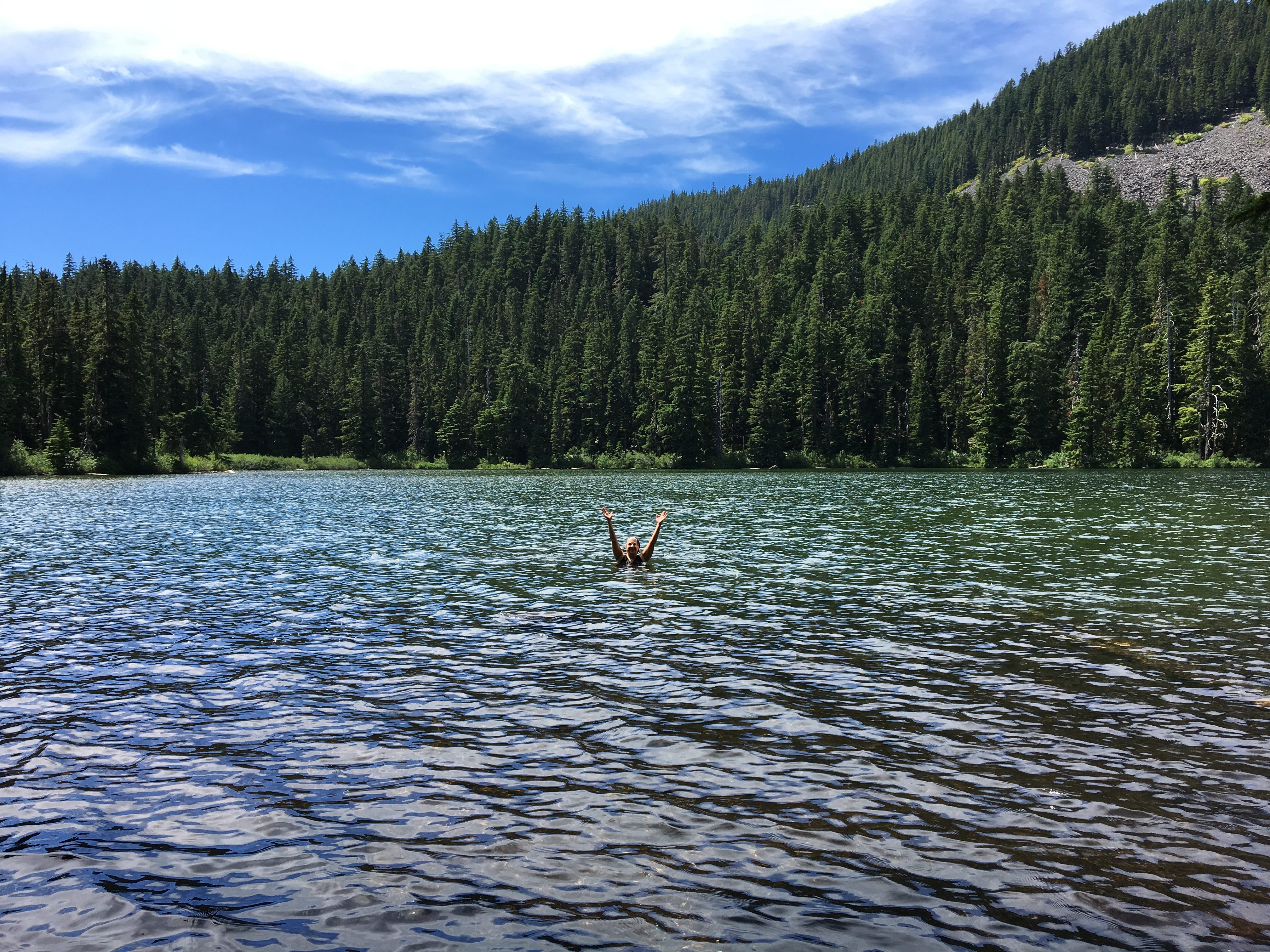 A person in a lake with pine trees lining the shore.