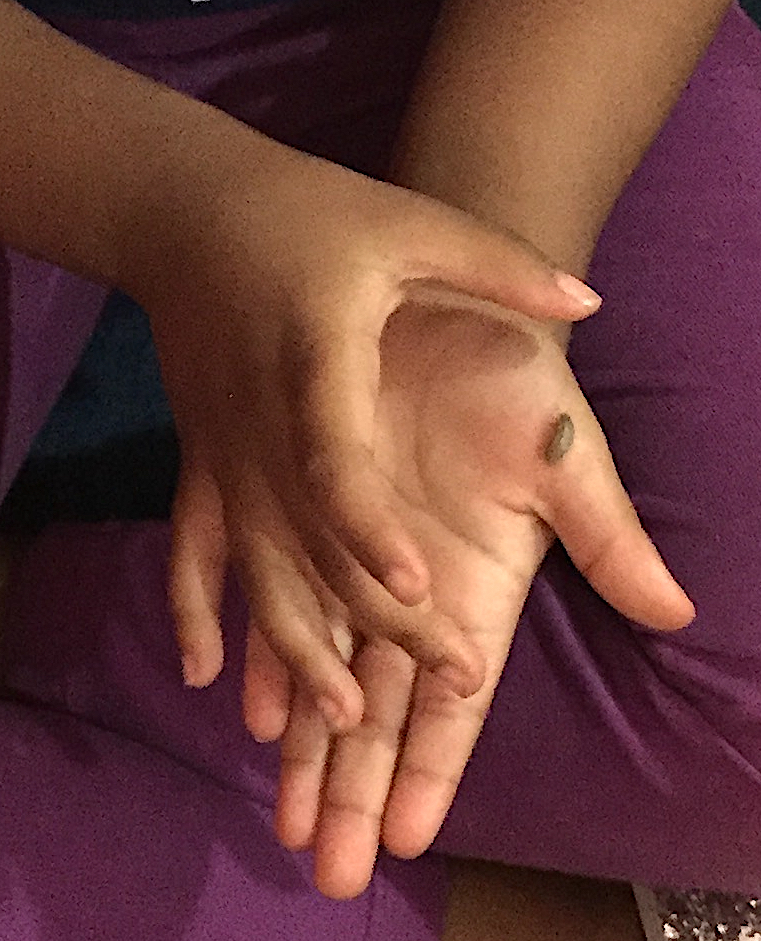 Child holds isopod on hands.