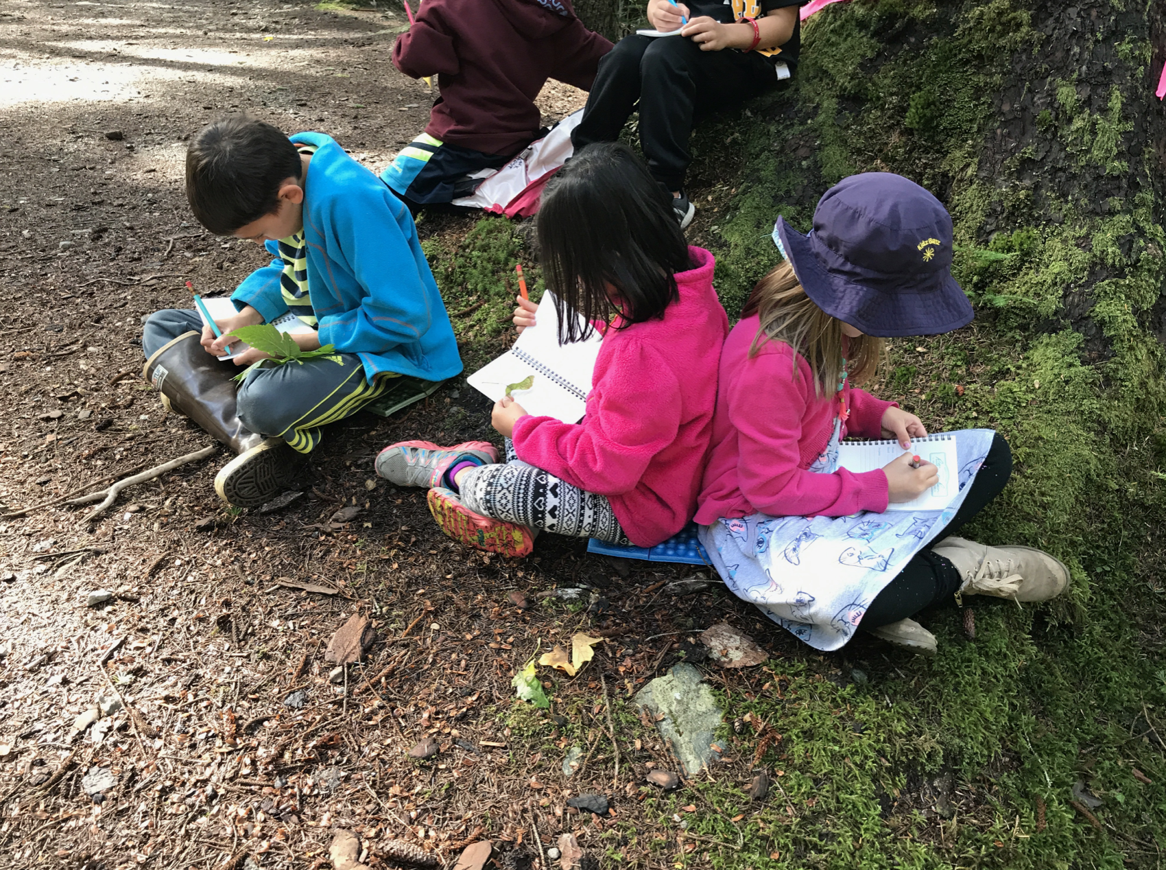 Elementary students making life science observations in notebooks, outside in nature.