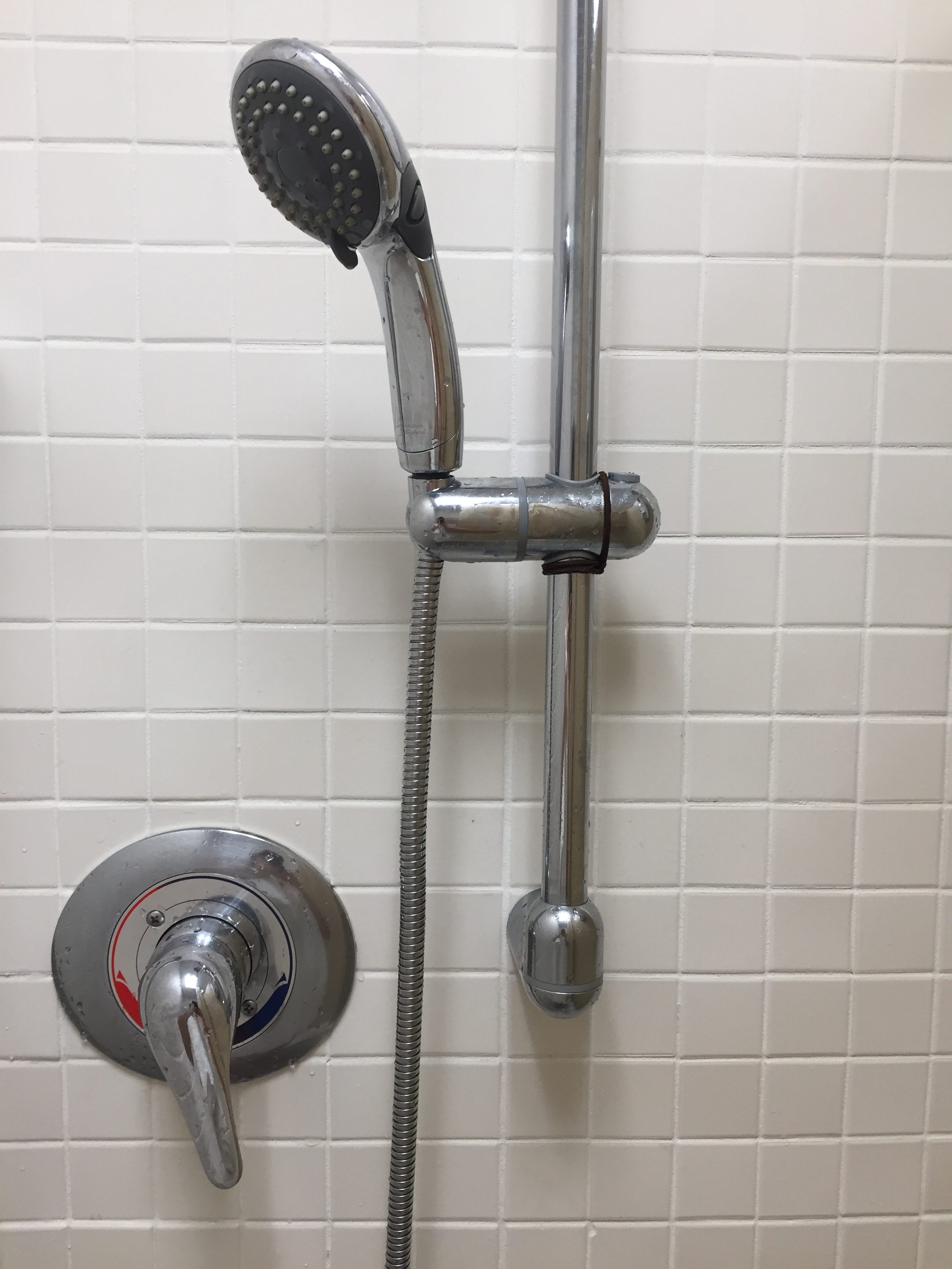 Shower hose on a sliding support pole.