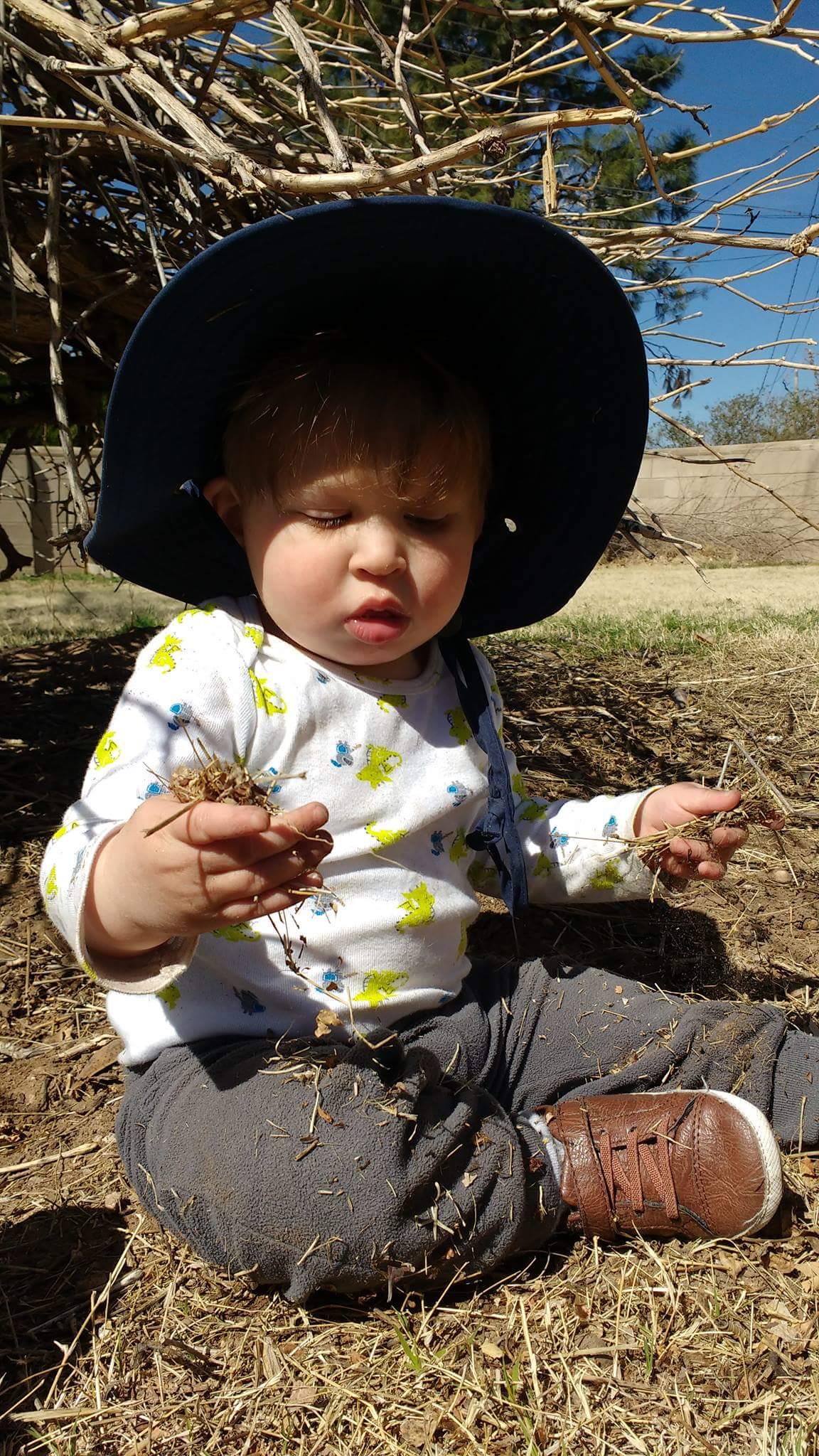 9 month old grasps dried grass while sitting on the ground.