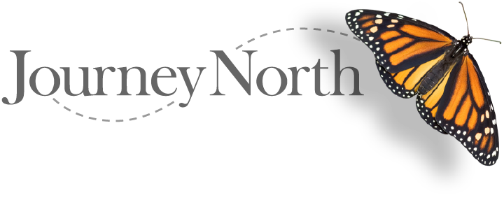 Journey North logo with picture of a Monarch Butterfly.