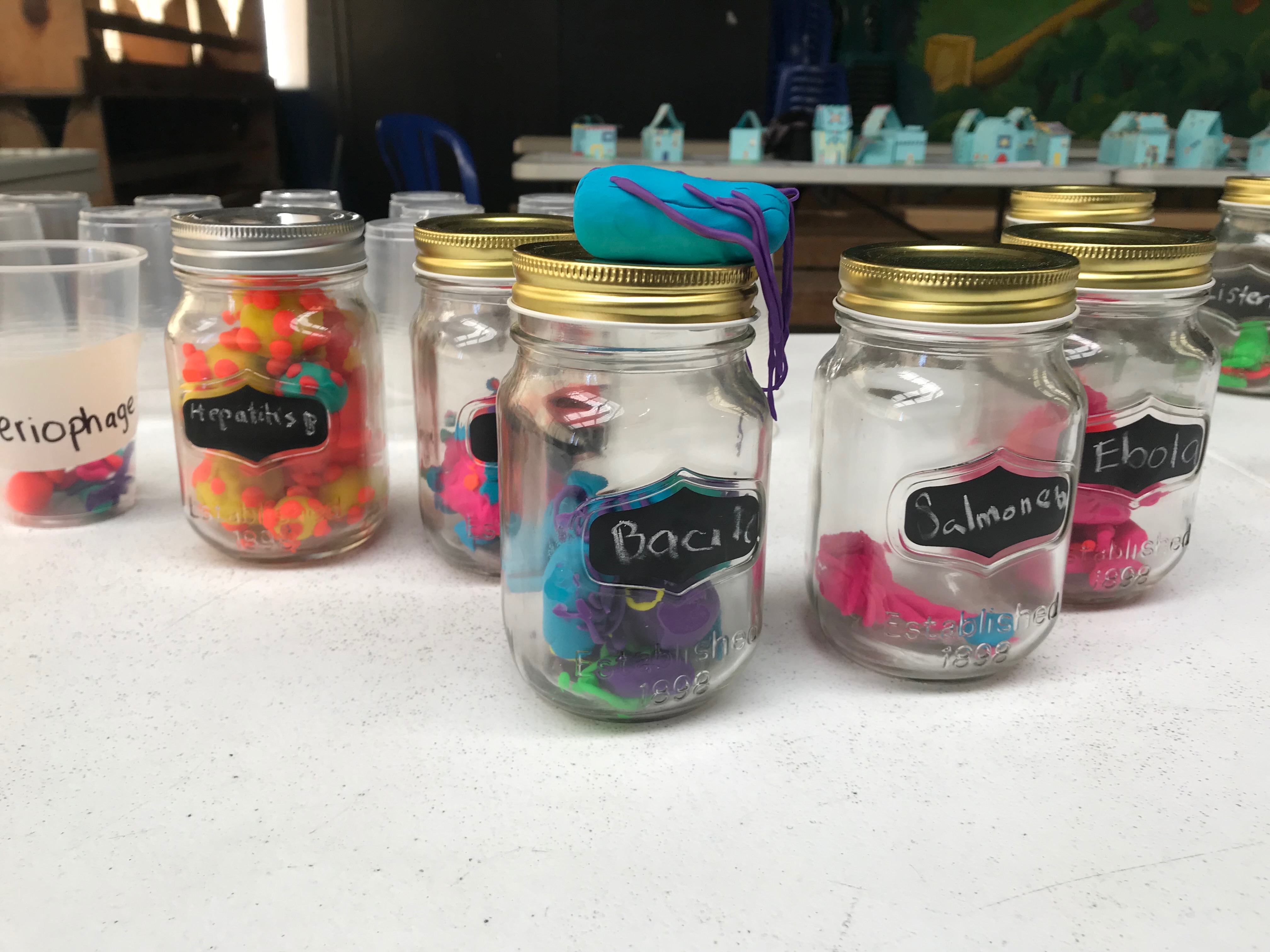 student-created "Germs Museum"