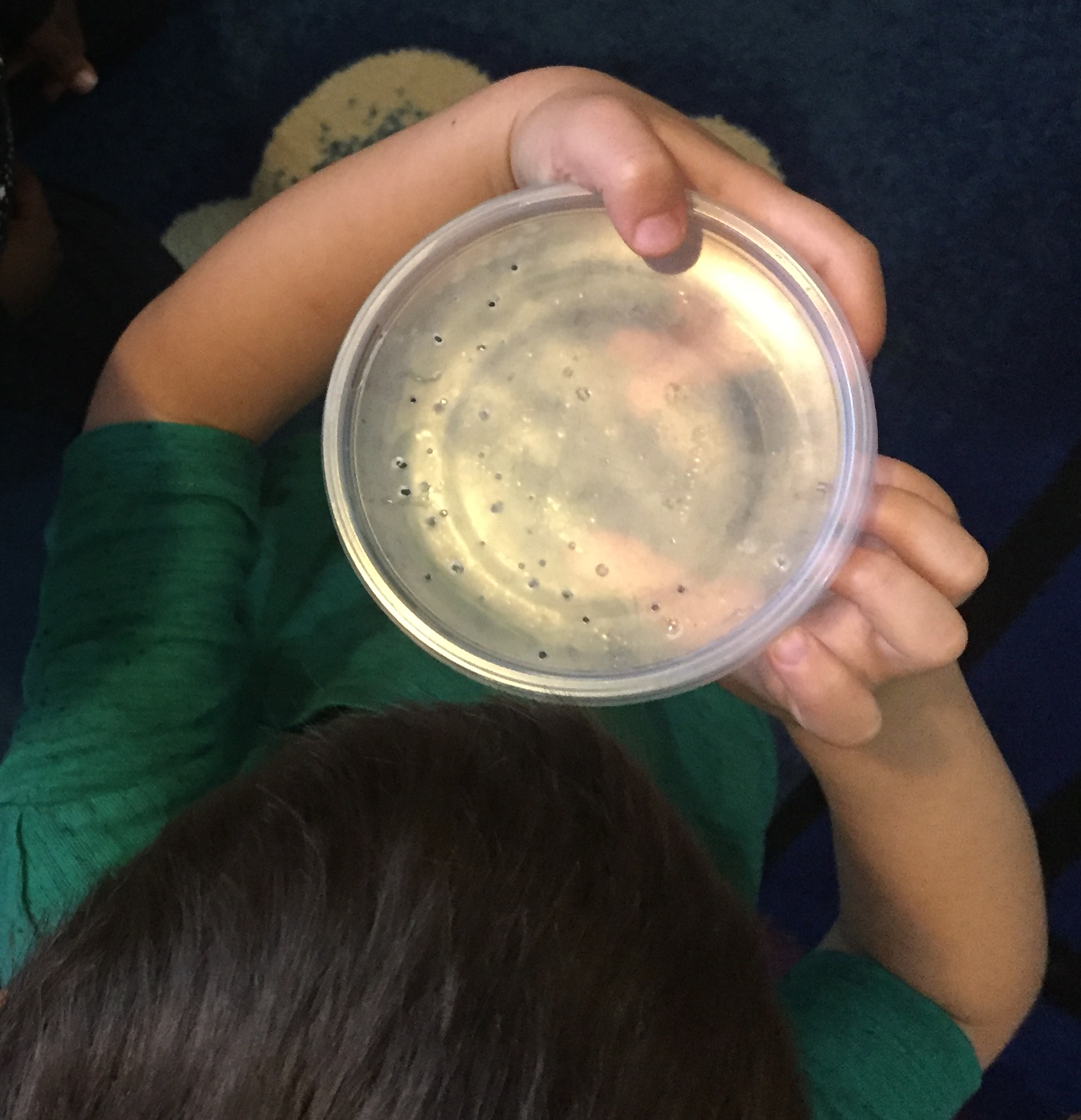 Child holds a plastic container of insects