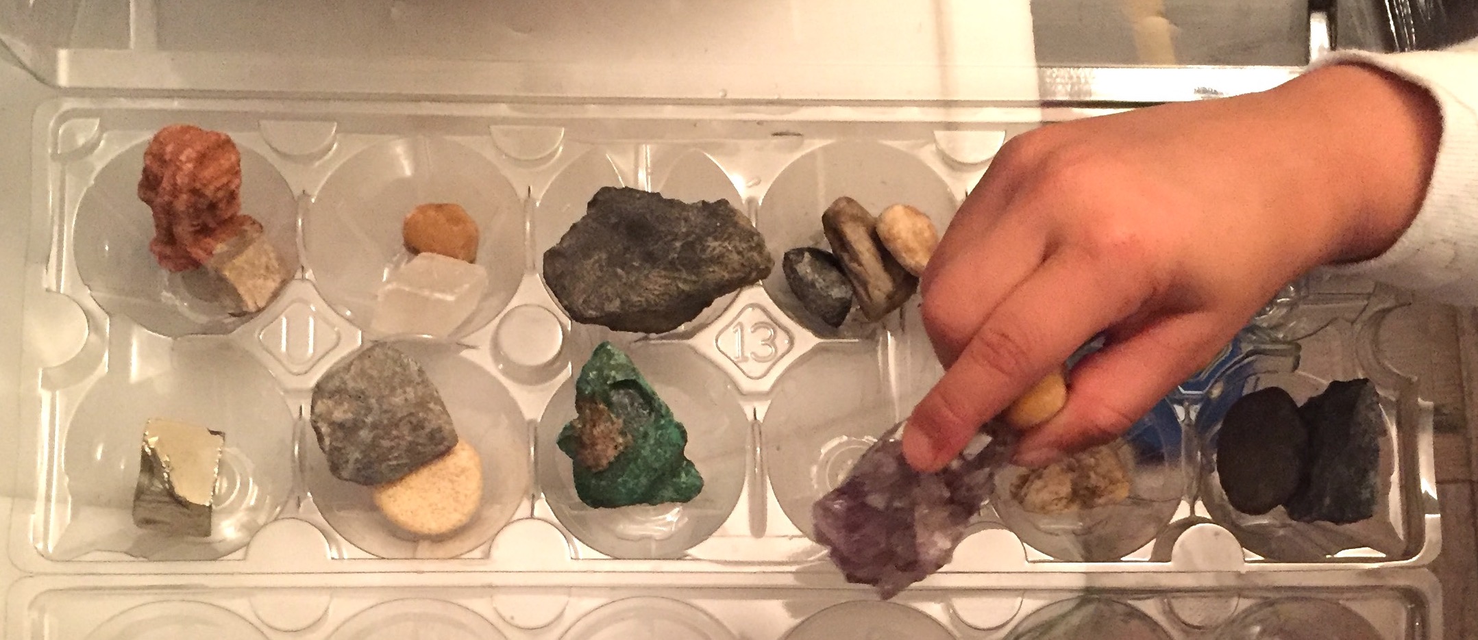 Child sorts small rocks into an egg carton.