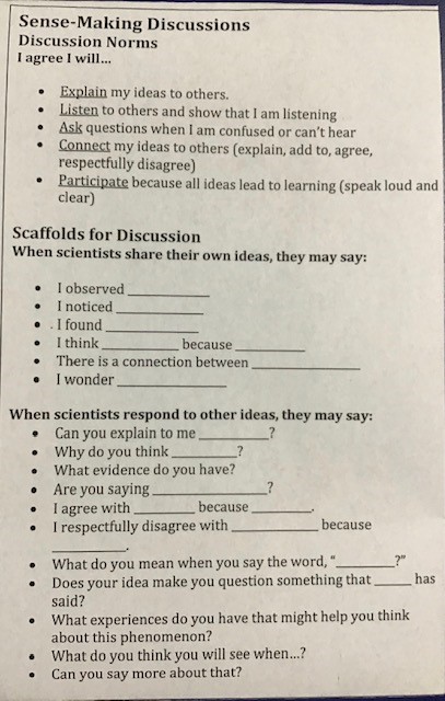 sense-making discussions