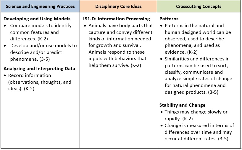 Coronavirus lesson image 1