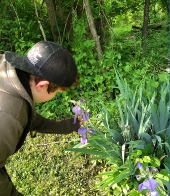 student inspecting flower