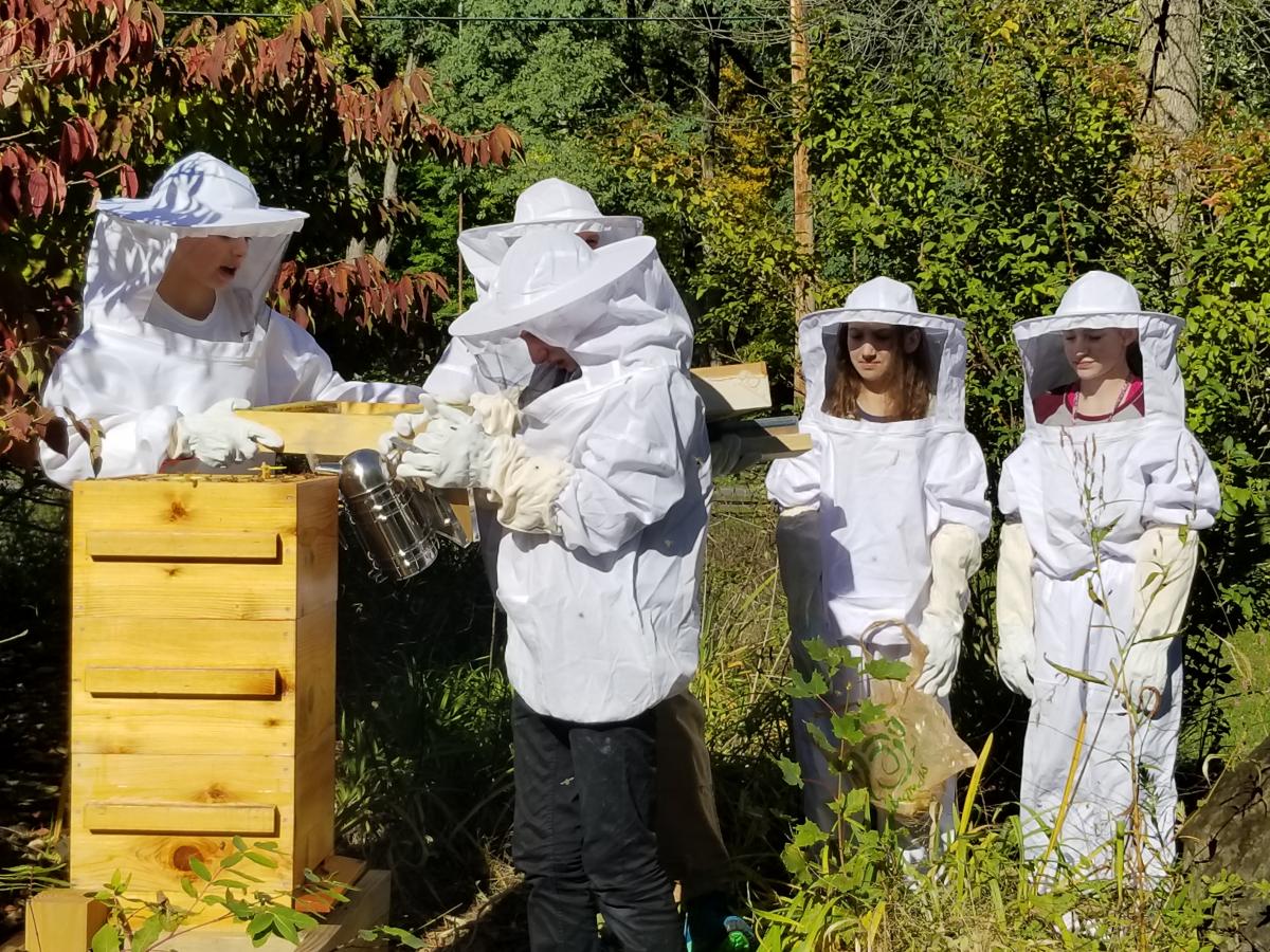 Beekeeping – From Science to Practice