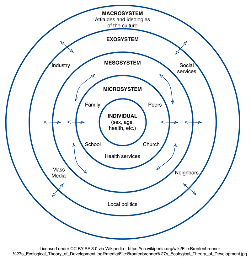 figure 3_800