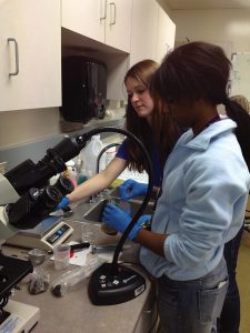 Students processing fecal samples in the zoo’s nutrition lab