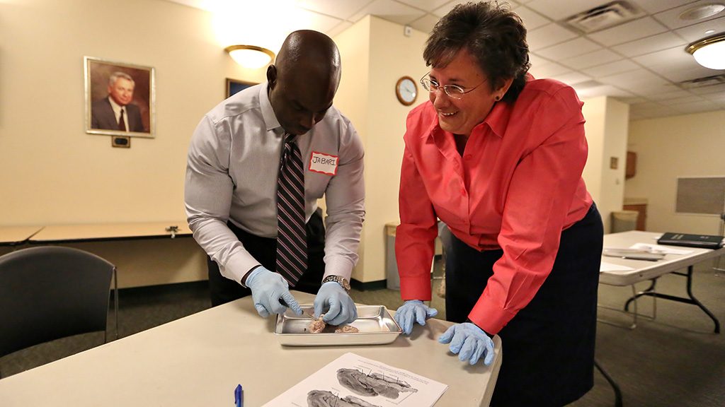 Teachers dissect brains during workshops.