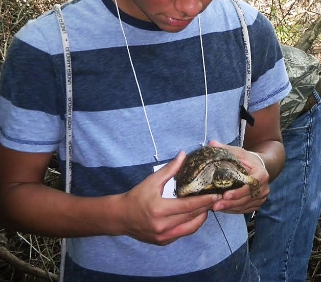 An HRE participant holds a box turtle in the field.