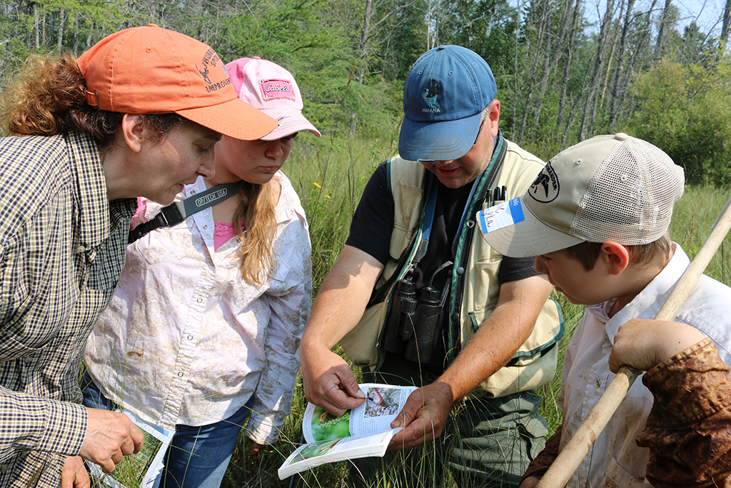 A hands-on citizen science and career experience for 4-H club students working alongside Michigan Natural Features Inventory scientists hunt for invasive species while mapping potential habitat for the endangered Hine’s emerald dragonfly.