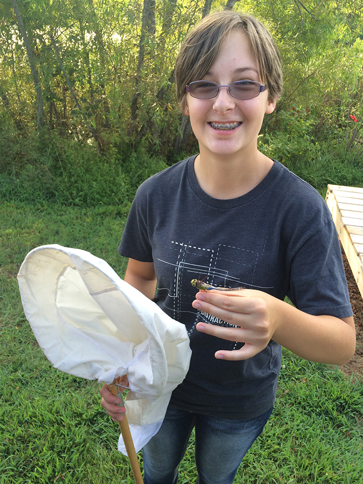 A Dragonfly Detectives participant proudly shows off the common green darner she caught.
