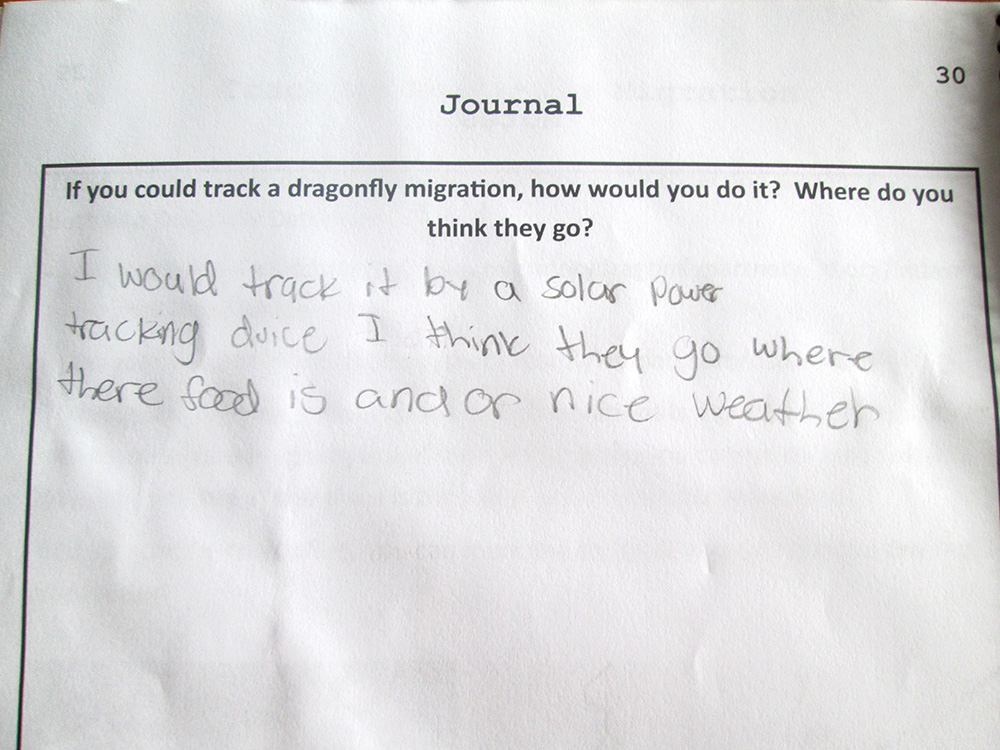 A sample journal entry for a Dragonfly Detectives participant