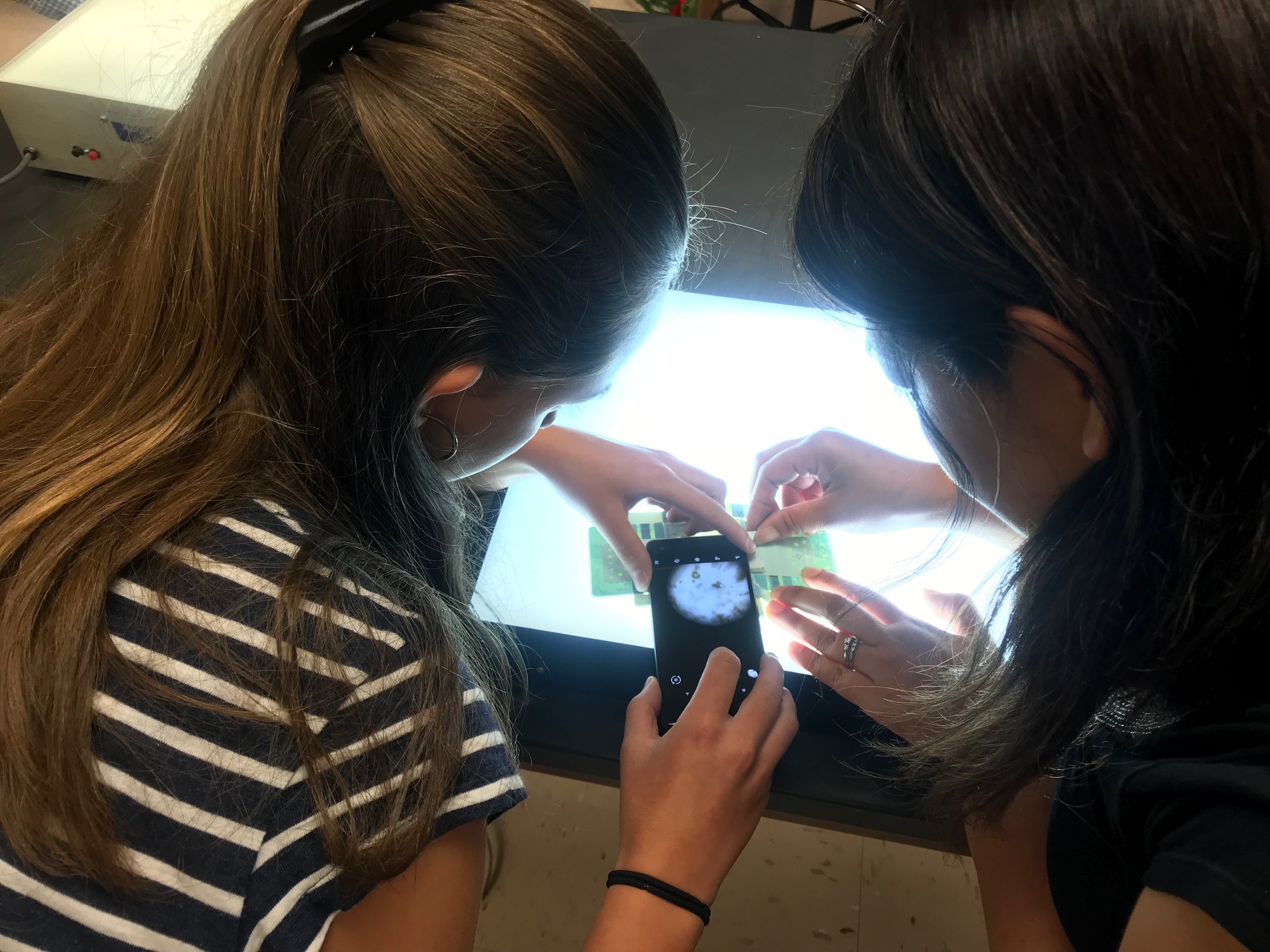Student taking a picture of plankton samples using a mobile device and light box as a light source. The samples are magnified with the Foldscope. 