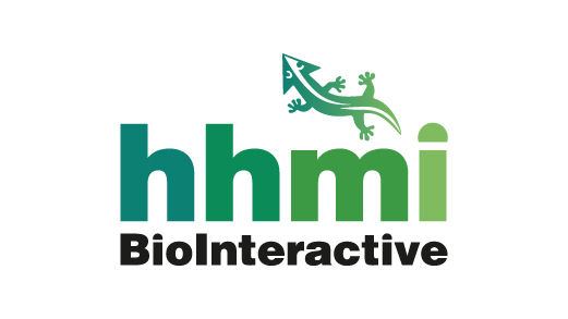 HHMI Biointeractive