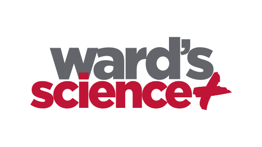 Ward's Science