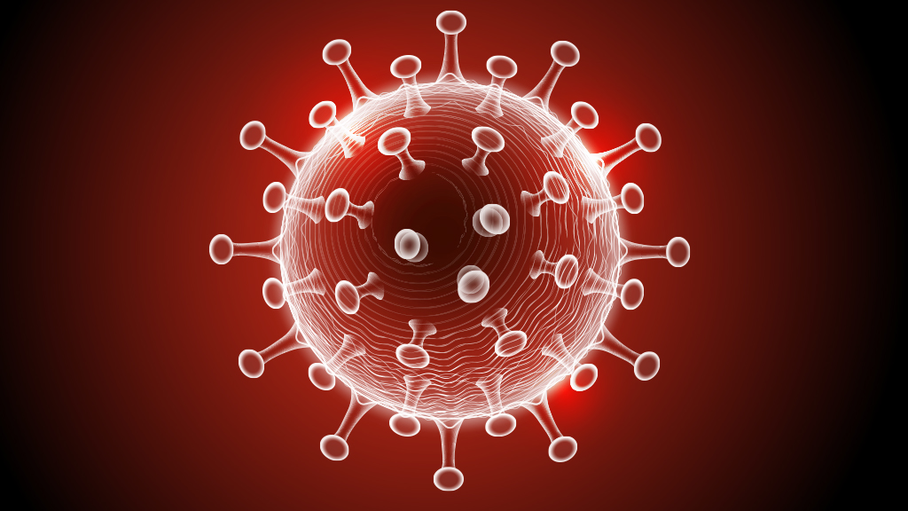 Safety Lessons Learned From the COVID-19 Pandemic